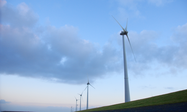 Eneco krijgt toestemming Raad van State