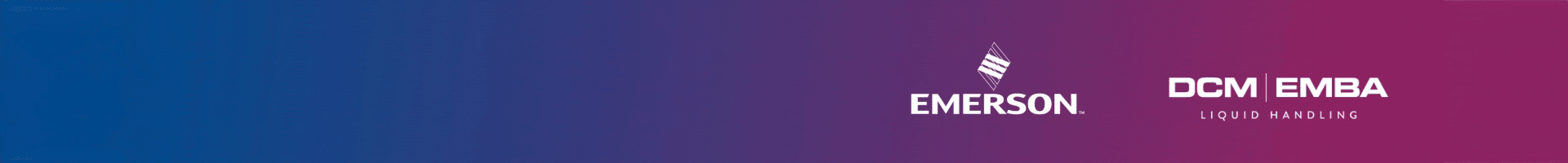 EMERSON-desktop top