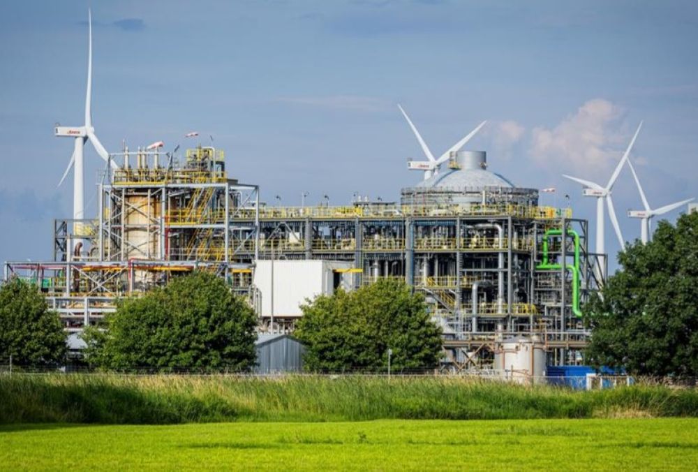 FDCA Flagship Plant