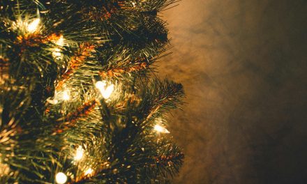 Fijne feestdagen toegewenst!