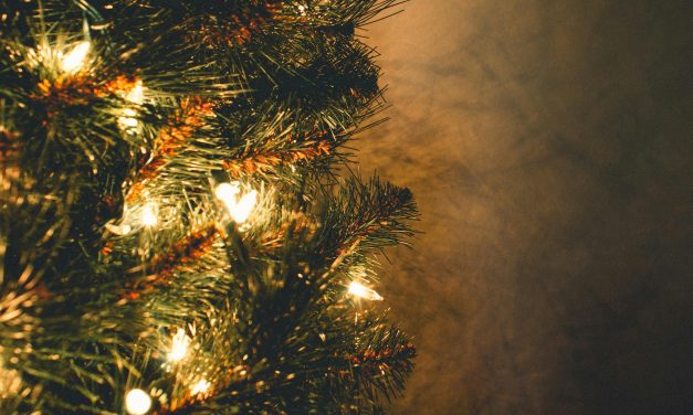 Fijne feestdagen toegewenst!