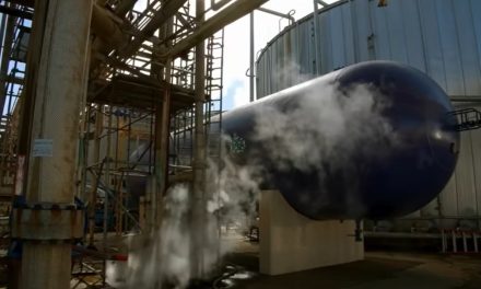 Overname Farmsumse plant beklonken