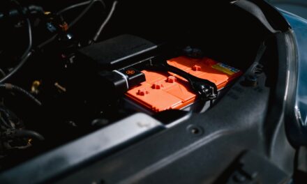 Demoplant voor batterijonderdelen