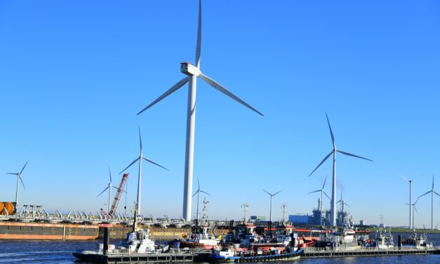 Zeehavens vragen duidelijkheid